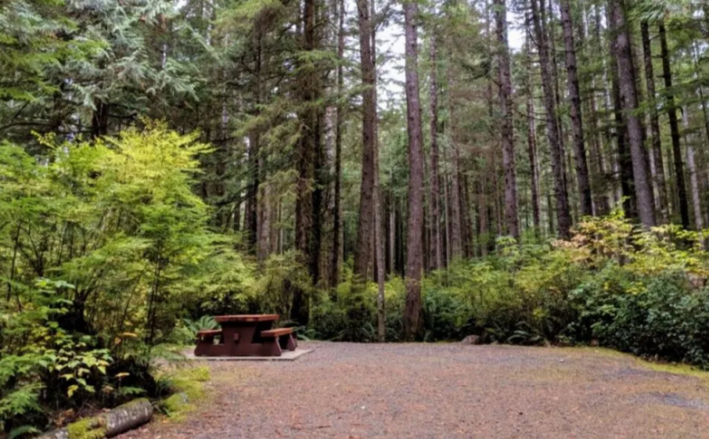 Parks Maintenance Program + Tree Maintenance Program