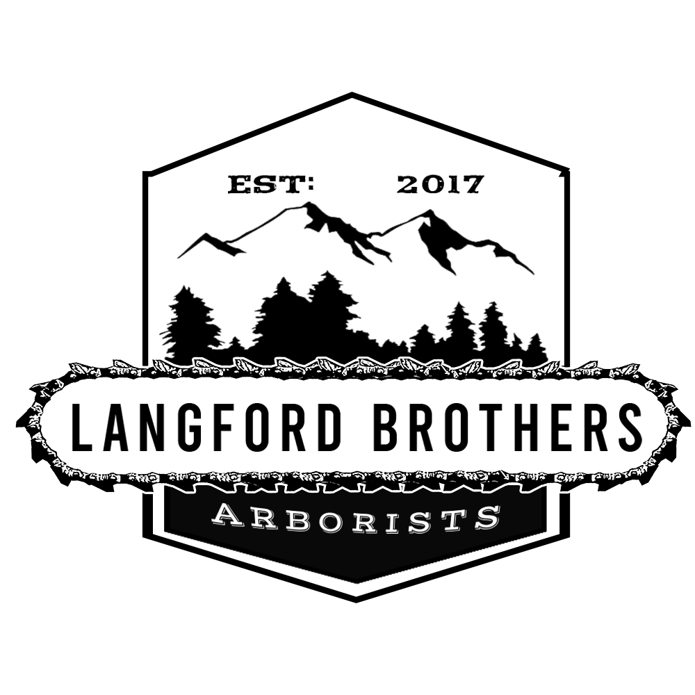 Langford Brothers