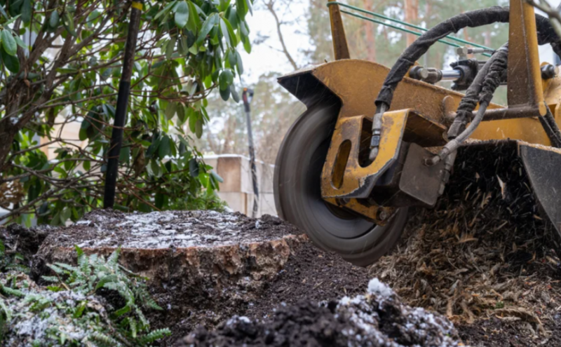 Vancouver Island + Stump Removal