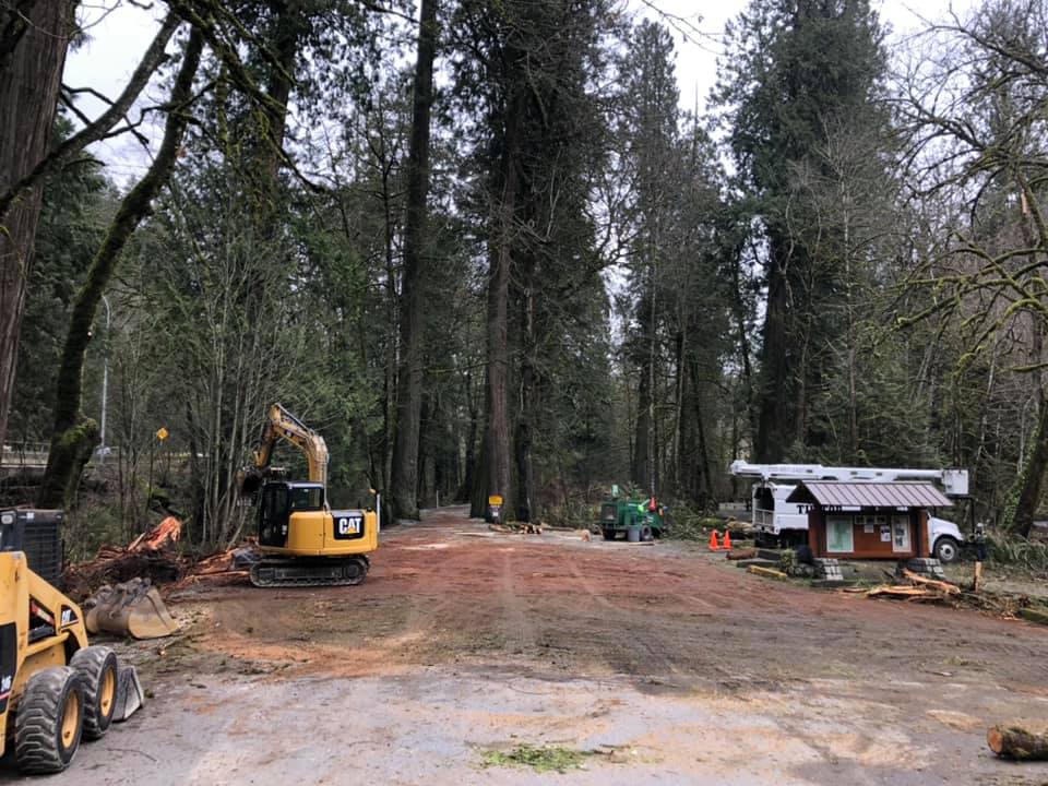 Lot Clearing for Vancouver Island + Langford Brothers 